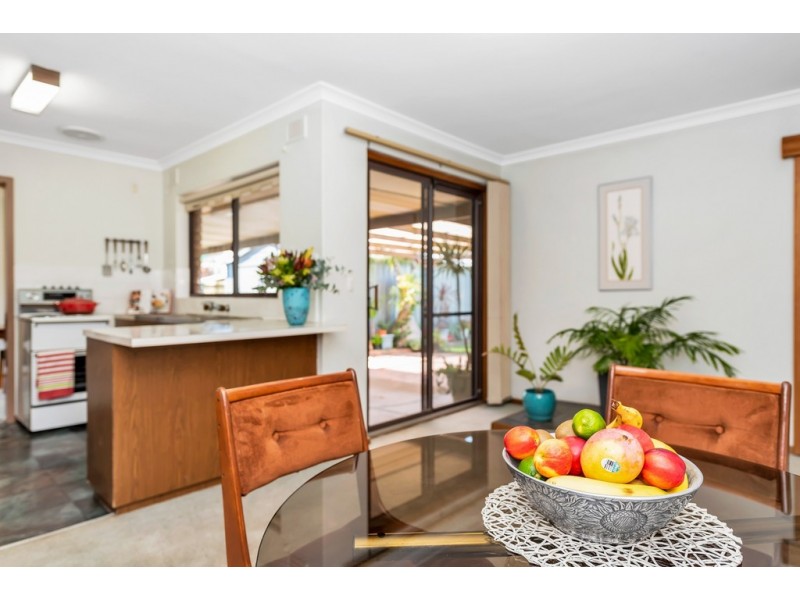 16 Pankina Grove, Marion SA 5043