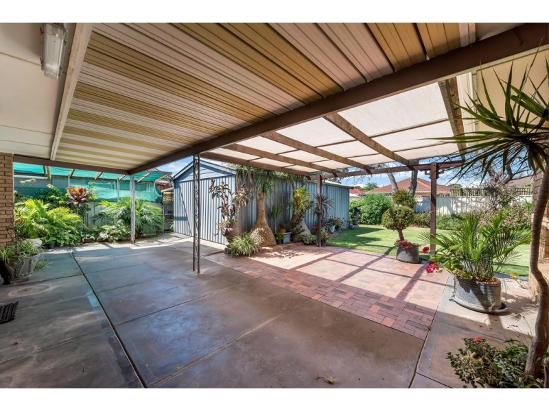 16 Pankina Grove, Marion SA 5043