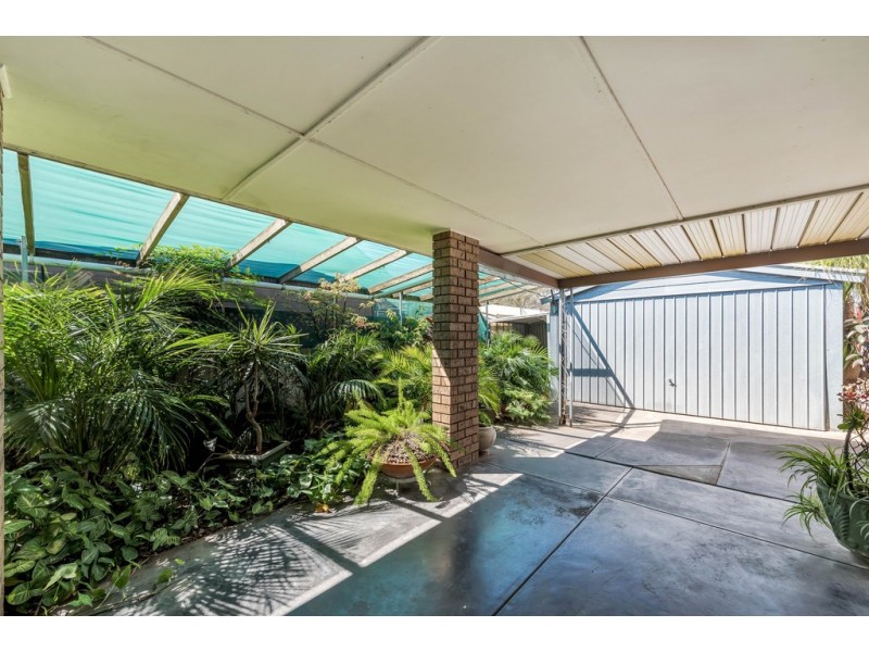 16 Pankina Grove, Marion SA 5043