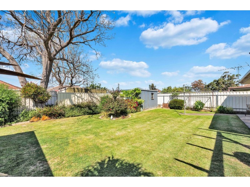 16 Pankina Grove, Marion SA 5043