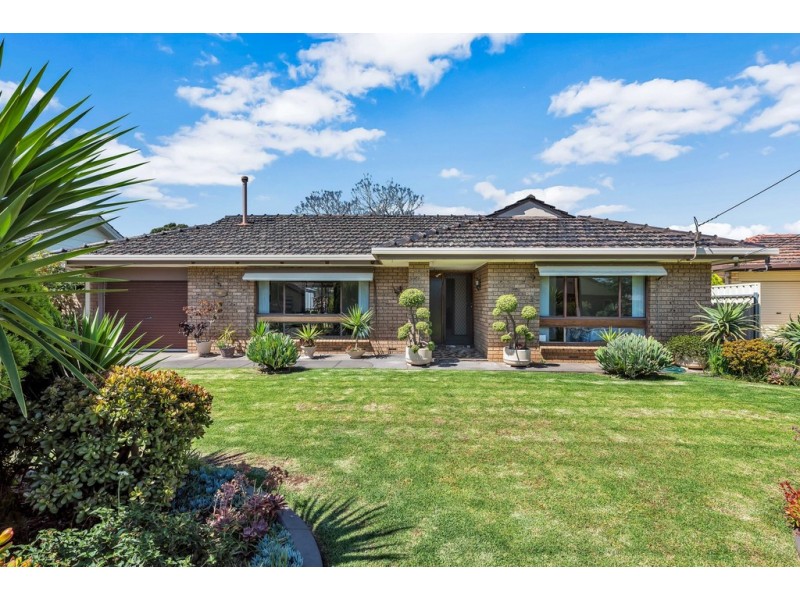 16 Pankina Grove, Marion SA 5043