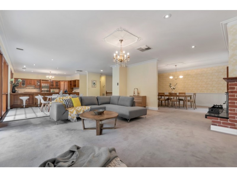 16 Cormorant Avenue, Flagstaff Hill SA 5159