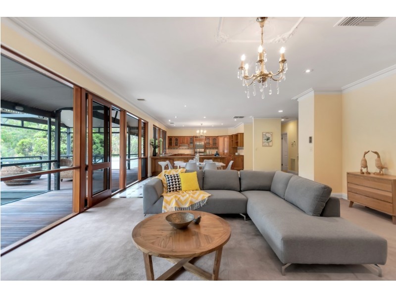 16 Cormorant Avenue, Flagstaff Hill SA 5159