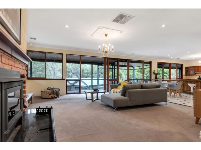 16 Cormorant Avenue, Flagstaff Hill SA 5159