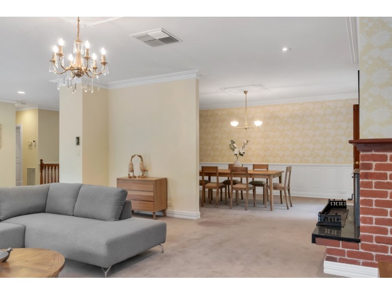 16 Cormorant Avenue, Flagstaff Hill SA 5159