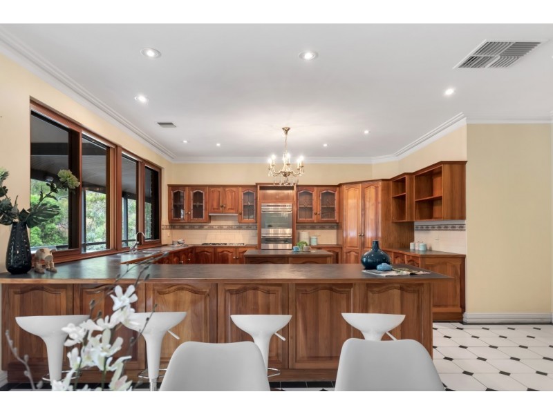 16 Cormorant Avenue, Flagstaff Hill SA 5159