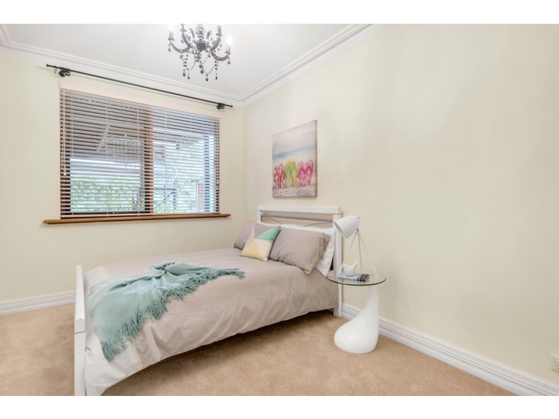 16 Cormorant Avenue, Flagstaff Hill SA 5159