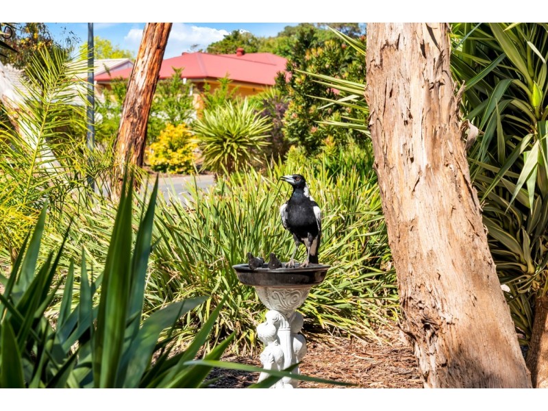 73 Valley View Drive, Mclaren Vale SA 5171