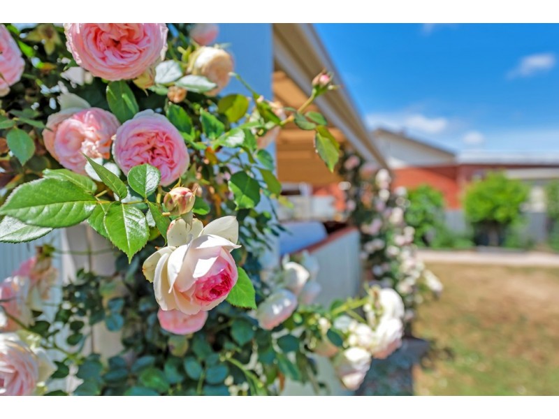 434 Morphett Road, Warradale SA 5046