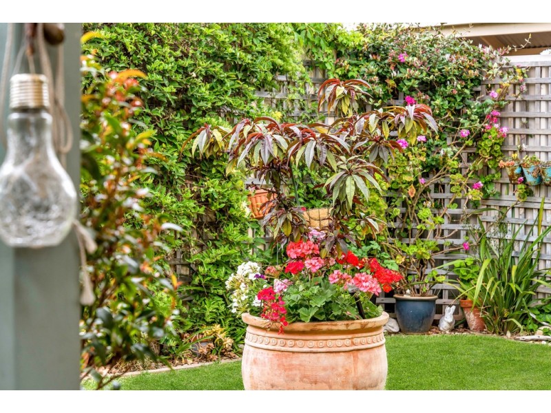 14 Spruce Avenue, Seaford SA 5169