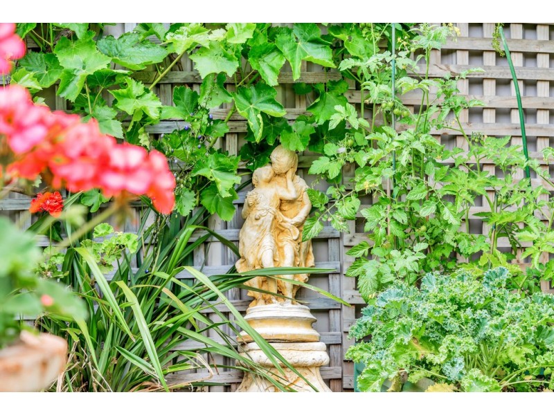 14 Spruce Avenue, Seaford SA 5169