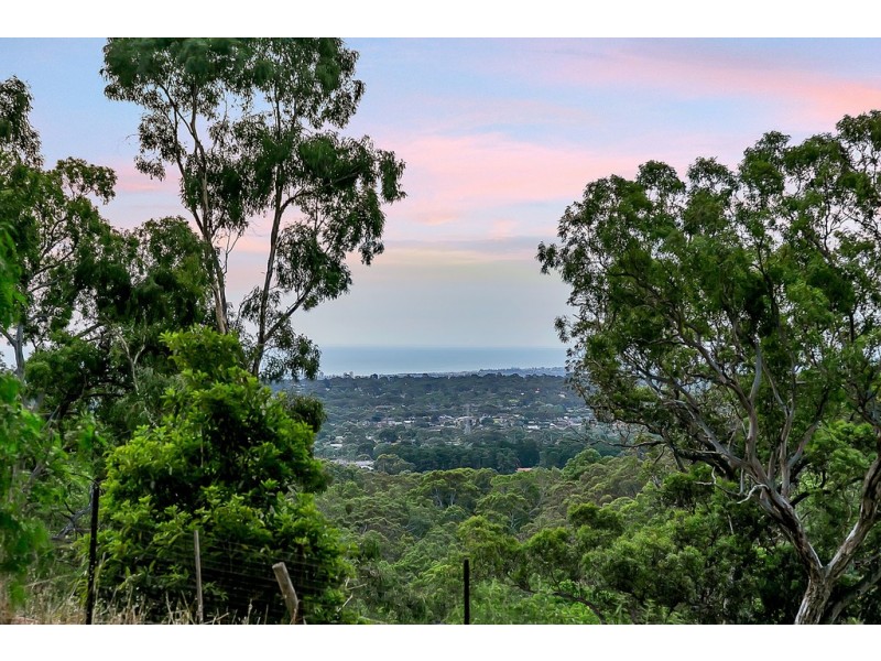 13 Scenic Court, Chandlers Hill SA 5159