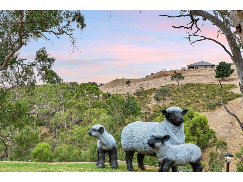 13 Scenic Court, Chandlers Hill SA 5159