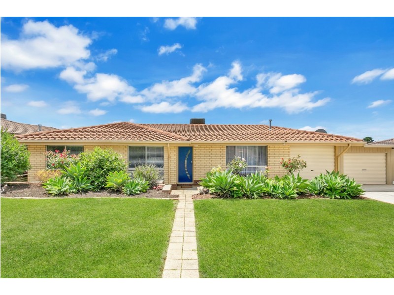 3 Aralia Court, Reynella SA 5161