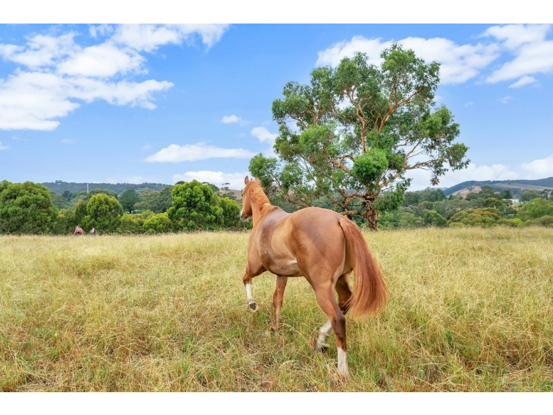 147 Sand Road, Kangarilla SA 5157