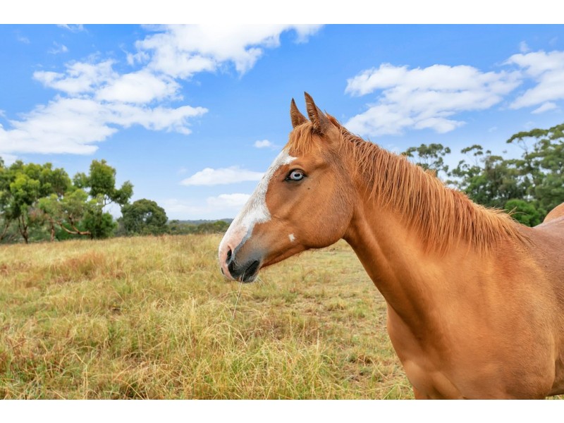 147 Sand Road, Kangarilla SA 5157