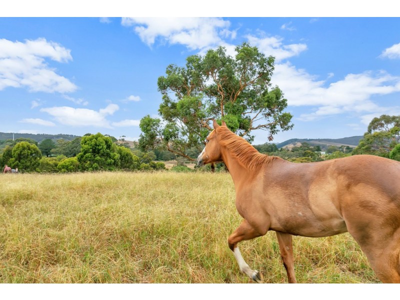 147 Sand Road, Kangarilla SA 5157