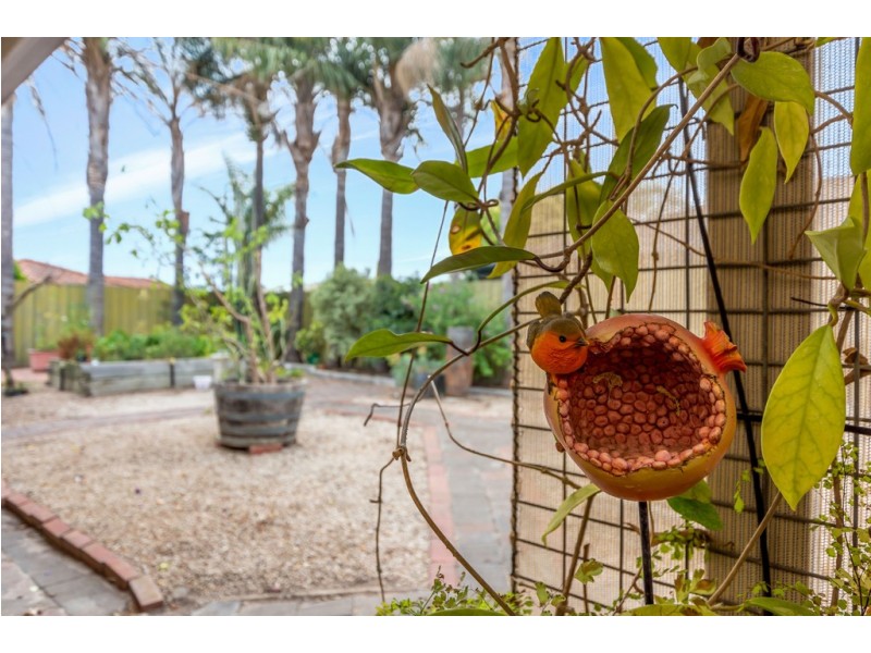 42 Knox Drive, Woodcroft SA 5162