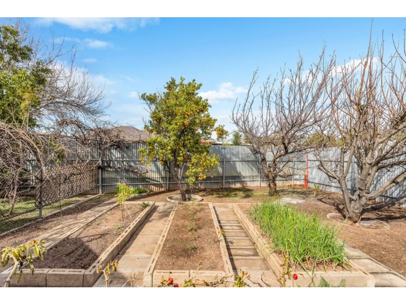 7 Lutana Crescent, Mitchell Park SA 5043
