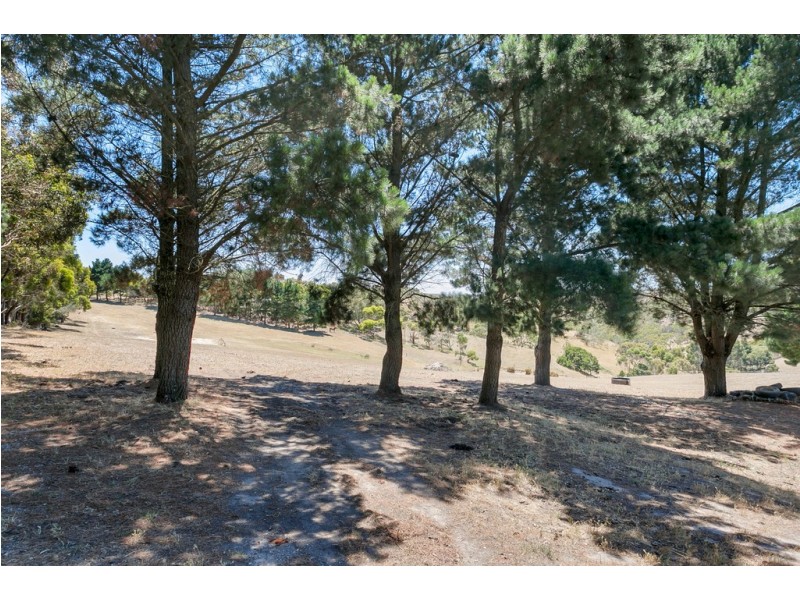 379 Louds Hill Road, Willunga South SA 5172