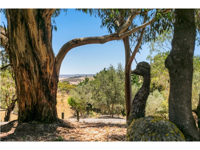 379 Louds Hill Road, Willunga South SA 5172