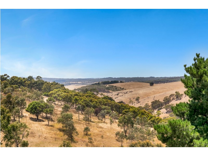 379 Louds Hill Road, Willunga South SA 5172