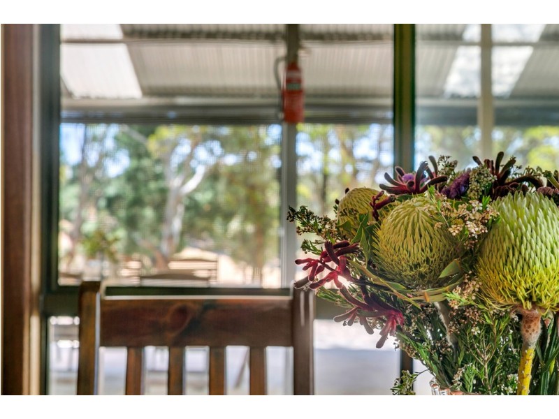 379 Louds Hill Road, Willunga South SA 5172