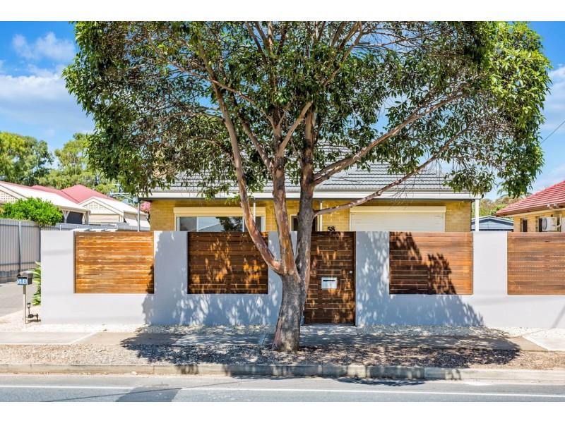 58 Celtic Avenue, Clovelly Park SA 5042