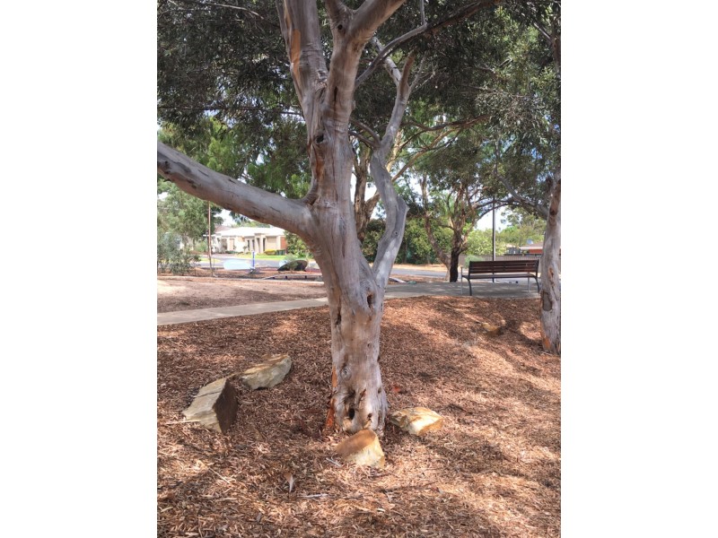 9 Eurunderee Avenue, Seacombe Gardens SA 5047