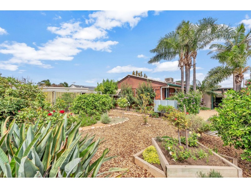 3 Gifford Terrace, Seaford SA 5169