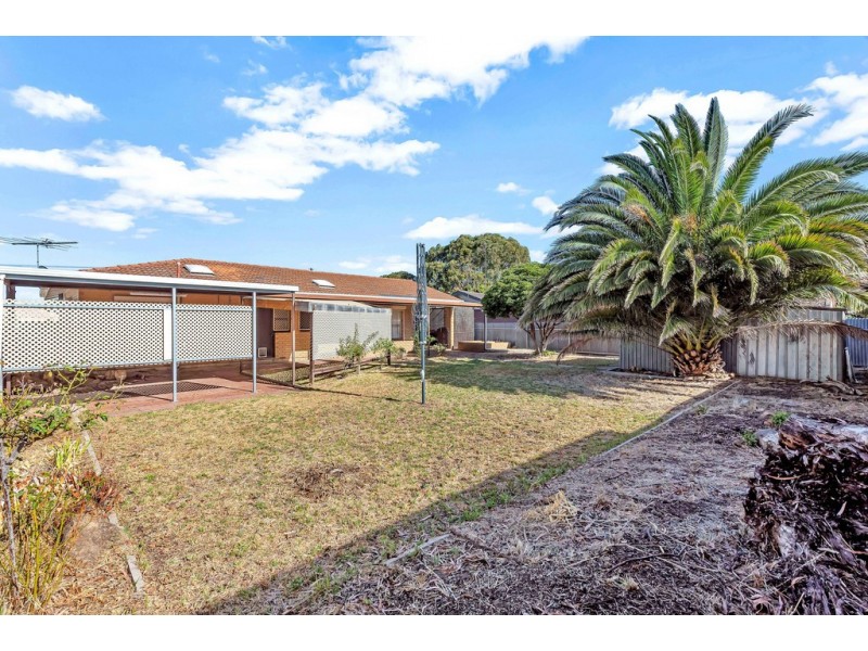 20 Freeman Avenue, Morphett Vale SA 5162