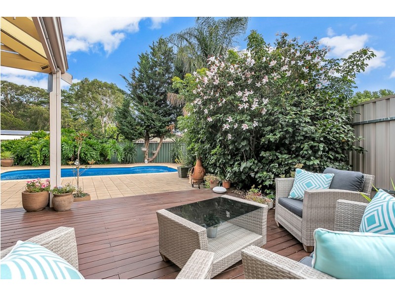 22 Caroline Street, Flagstaff Hill SA 5159