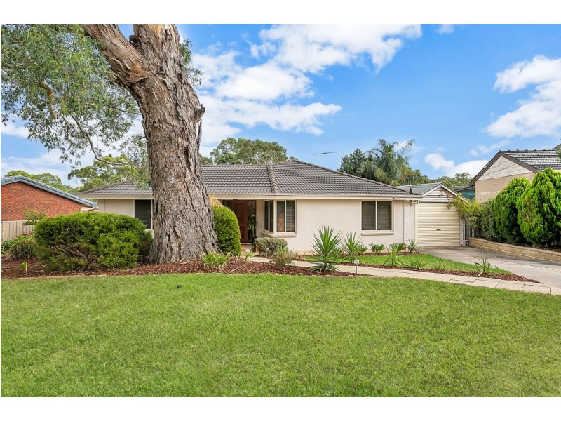 22 Caroline Street, Flagstaff Hill SA 5159