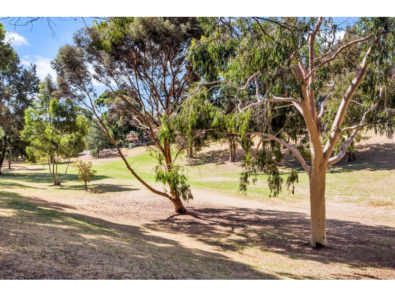 20 Maluka Drive, Happy Valley SA 5159