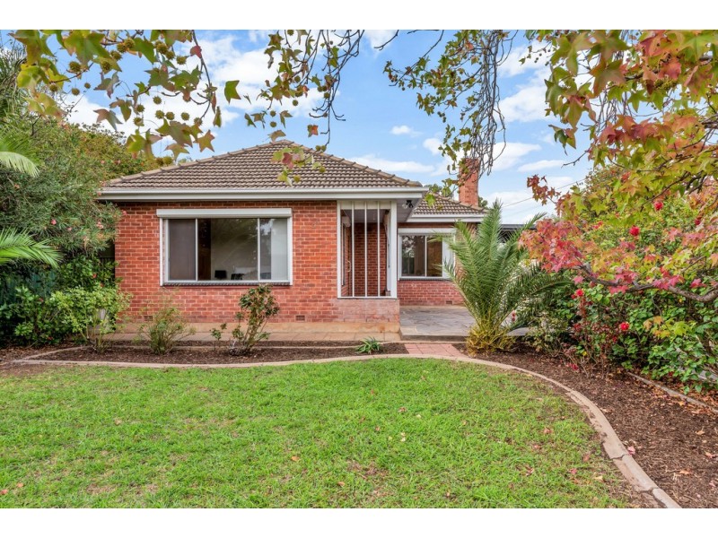 50 Woodlands Terrace, Edwardstown SA 5039