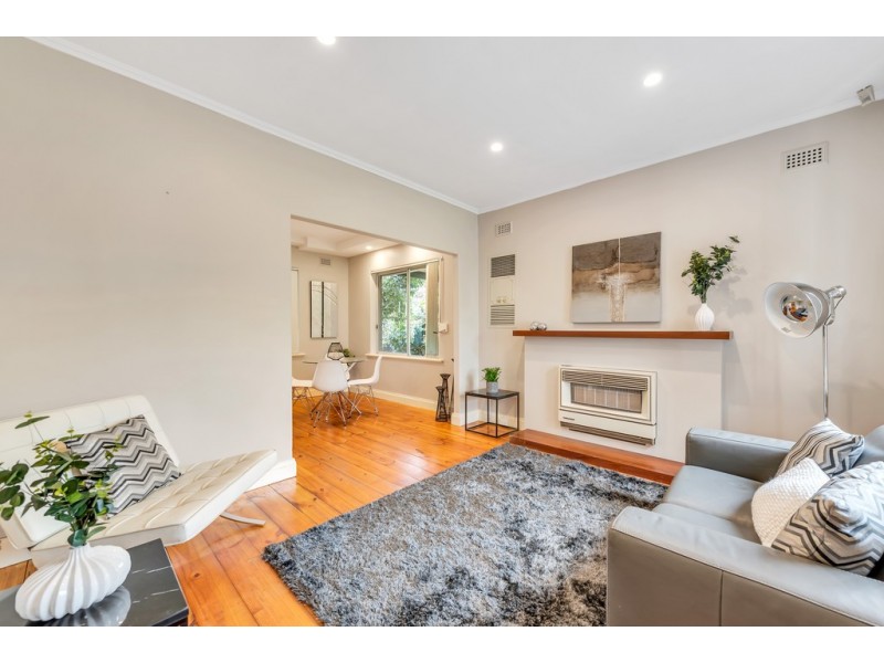 50 Woodlands Terrace, Edwardstown SA 5039