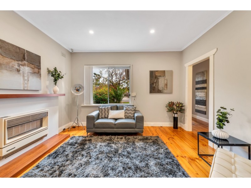 50 Woodlands Terrace, Edwardstown SA 5039