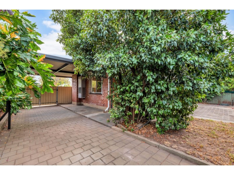 50 Woodlands Terrace, Edwardstown SA 5039