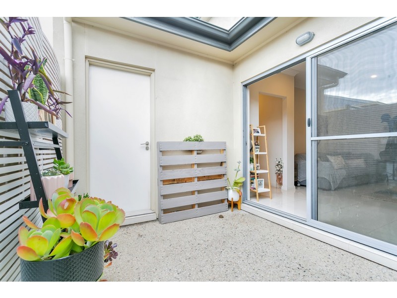 33 Ross Street, Plympton Park SA 5038