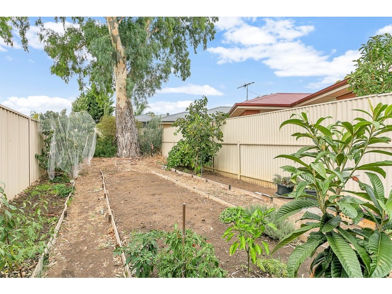 11a Day Street, Sturt SA 5047