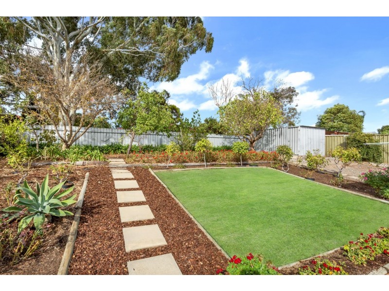 19 Maple Avenue, Aberfoyle Park SA 5159