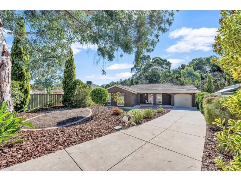 16 Abraxas Court, Aberfoyle Park SA 5159