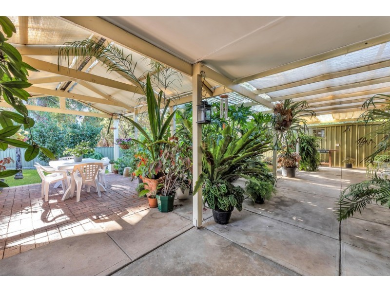 16 Abraxas Court, Aberfoyle Park SA 5159