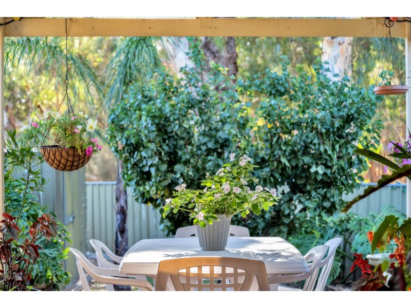 16 Abraxas Court, Aberfoyle Park SA 5159