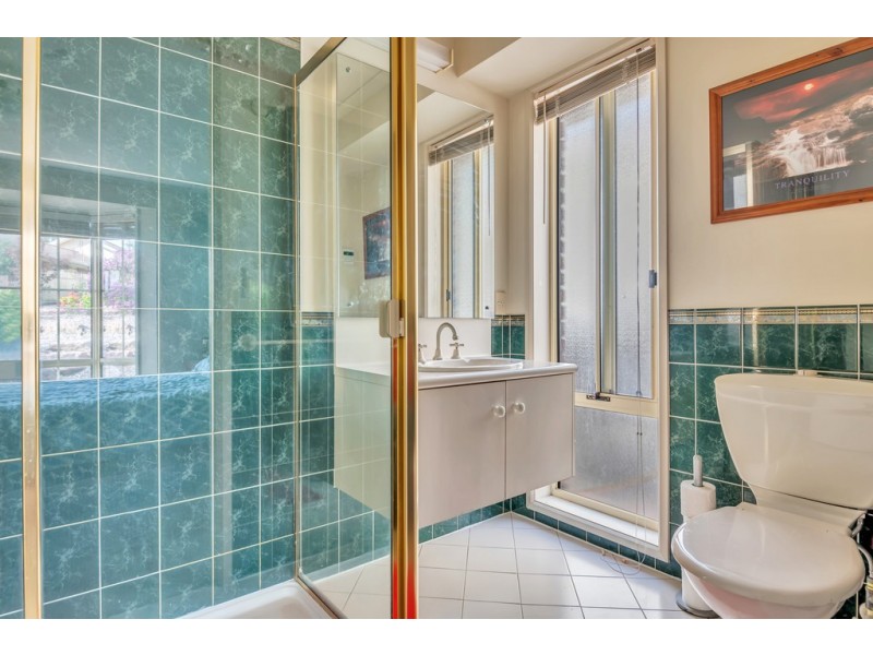 3 Brookhaven Court, Aberfoyle Park SA 5159