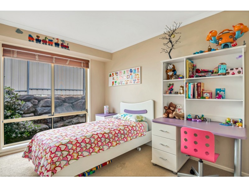 3 Brookhaven Court, Aberfoyle Park SA 5159