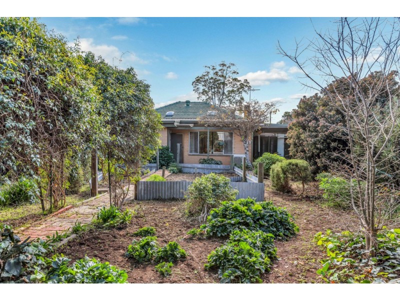 46 Cumberland Avenue, Cumberland Park SA 5041