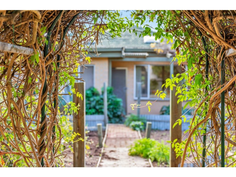 46 Cumberland Avenue, Cumberland Park SA 5041