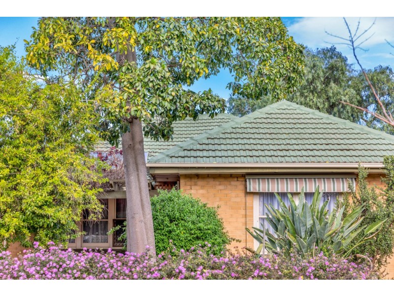 46 Cumberland Avenue, Cumberland Park SA 5041