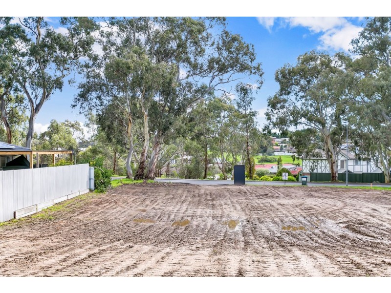 38 Manning Road, Aberfoyle Park SA 5159